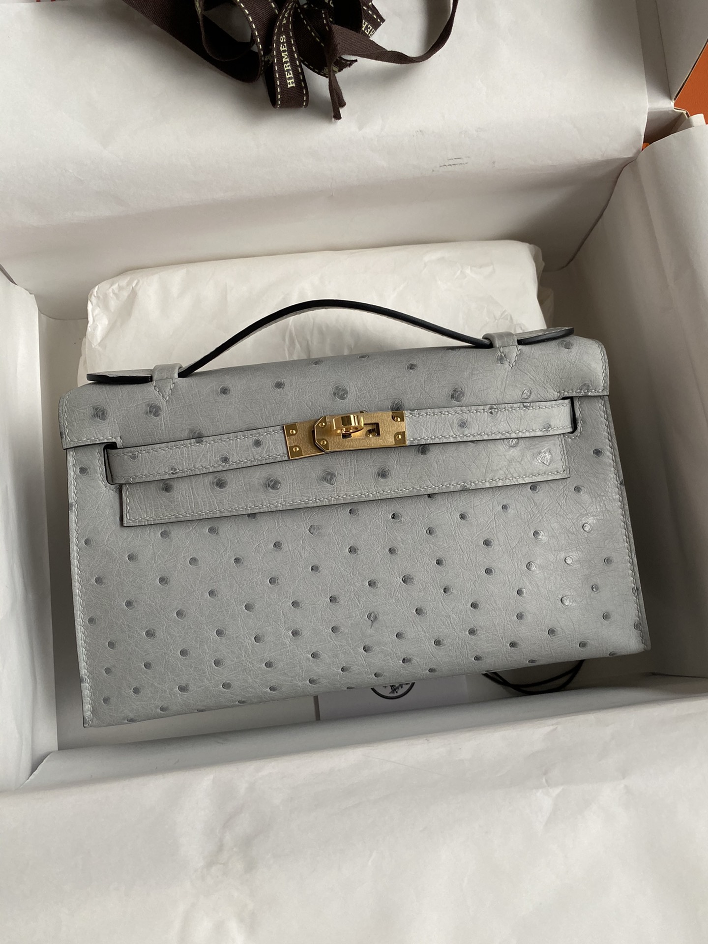 Hermes Mini Kelly Pochette 22cm Bag In Light Grey Ostrich Leather